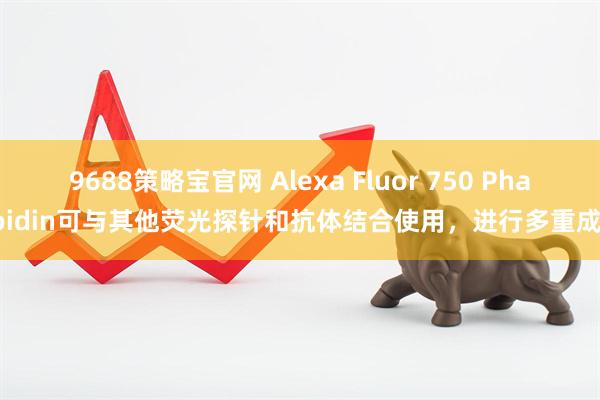 9688策略宝官网 Alexa Fluor 750 Phalloidin可与其他荧光探针和抗体结合使用，进行多重成像
