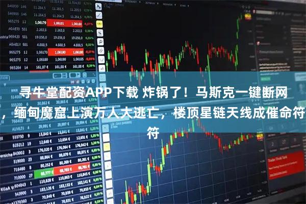 寻牛堂配资APP下载 炸锅了！马斯克一键断网，缅甸魔窟上演万人大逃亡，楼顶星链天线成催命符